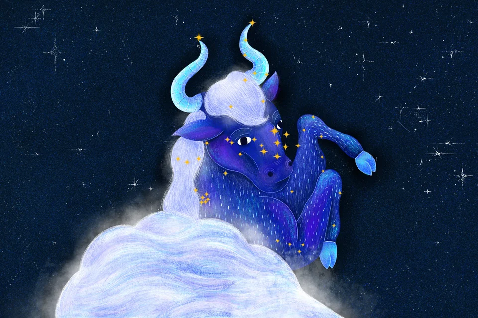 Los Animales del Cielo, artwork 9