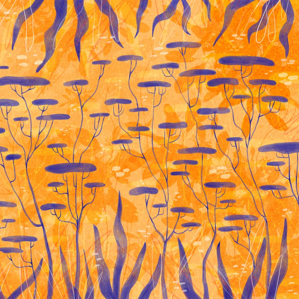 A Estória do Sol e do Rinoceronte, artwork 29