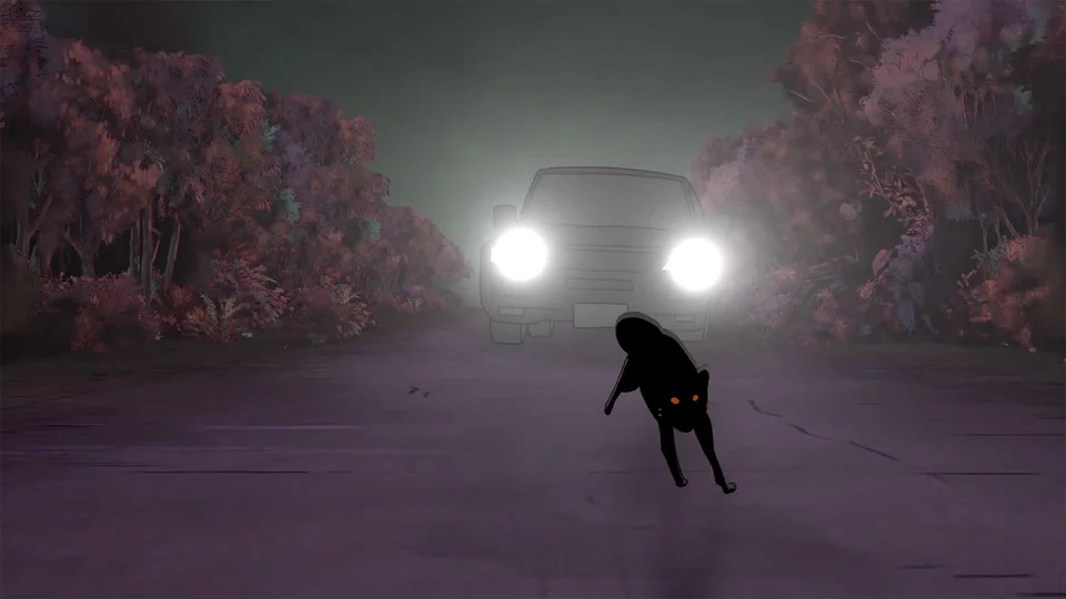 Niebla, headlights on a forest road