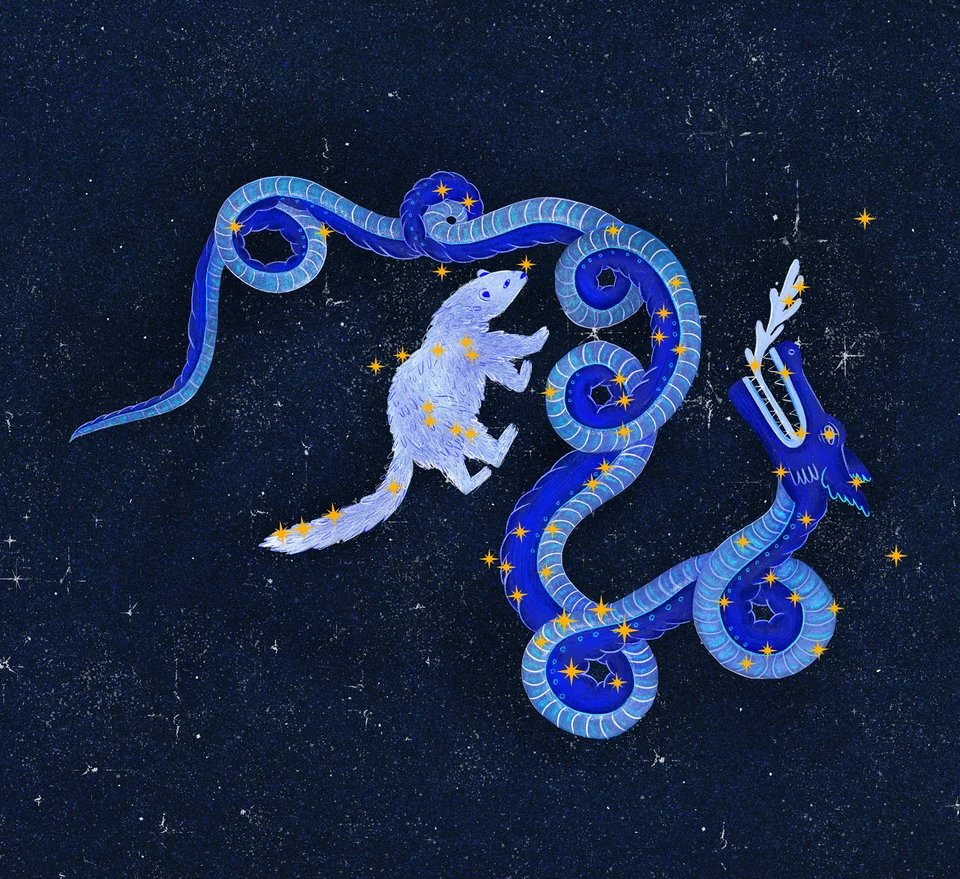 Los Animales del Cielo, artwork 2