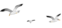 The Odyssey: A Complicated Man, image 15