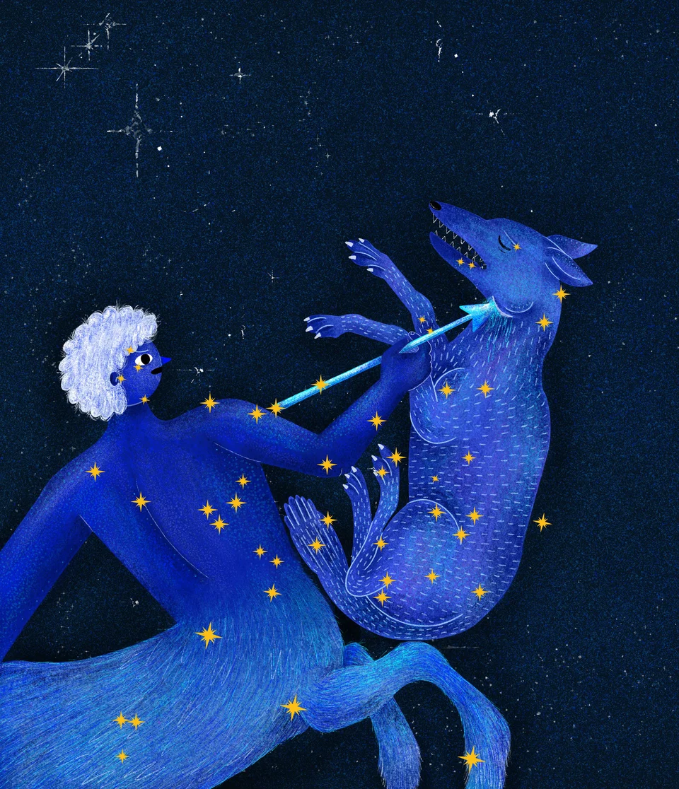 Los Animales del Cielo, artwork 4