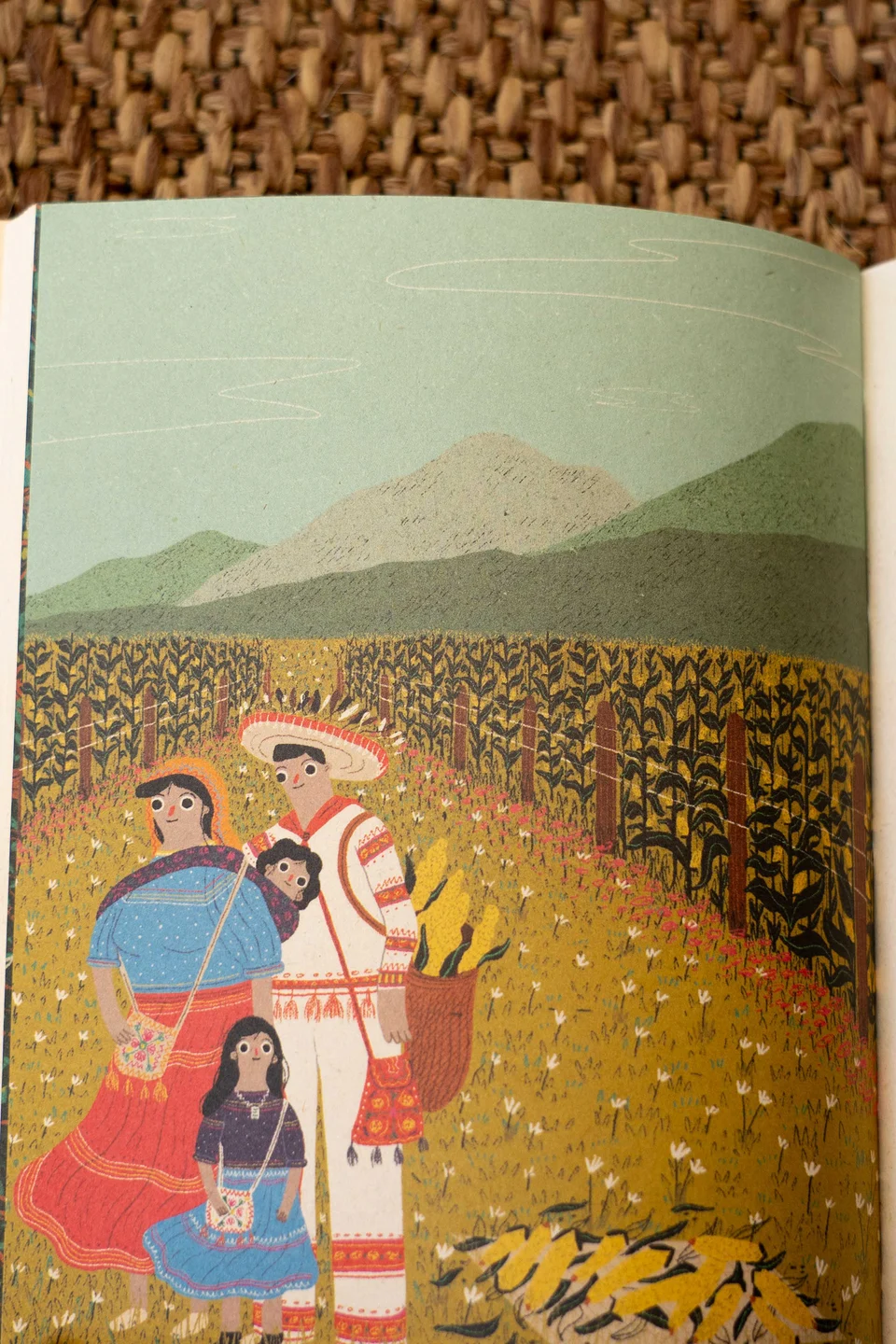 México Cuenta, image 16