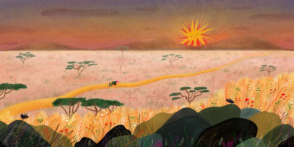 A Estória do Sol e do Rinoceronte, artwork 28