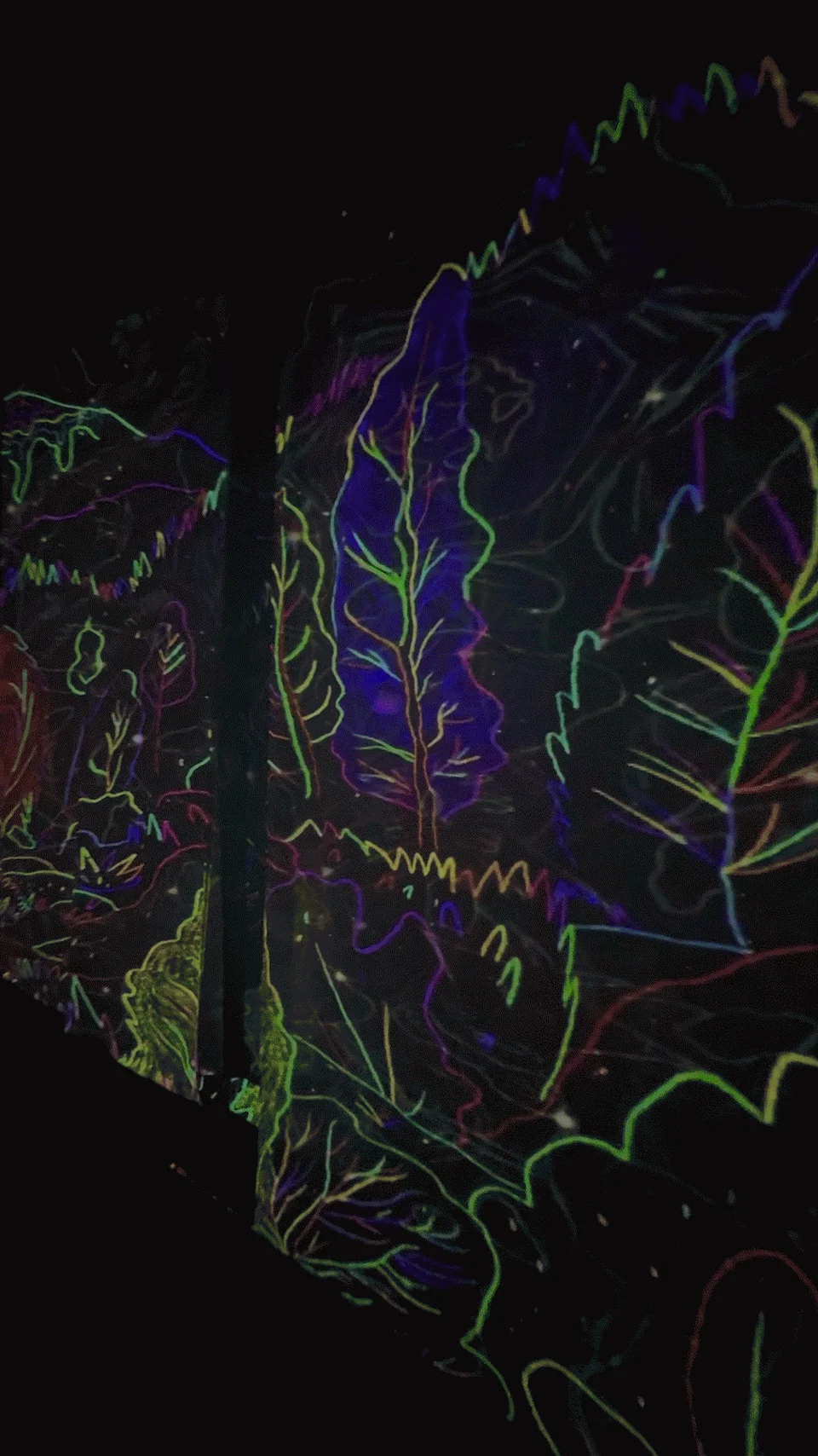 Animated plants projected inside the museum