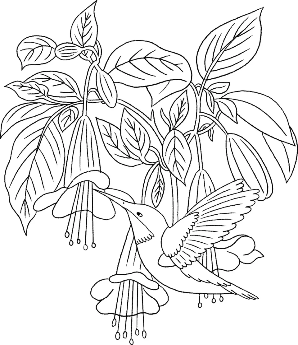Line sketch: hummingbird