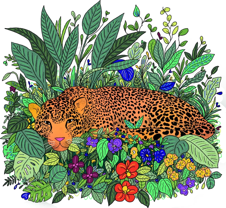 Jaguar with Orchids, from the Canva Represents Colombia collection