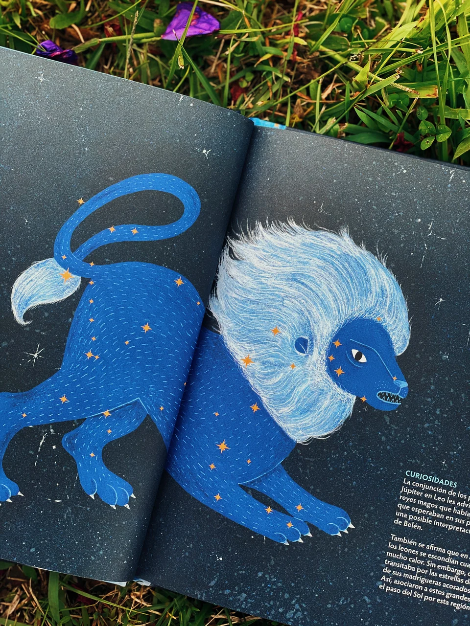 Los Animales del Cielo, artwork 25
