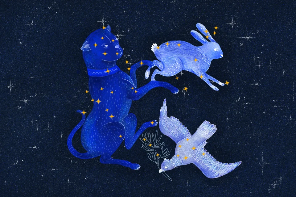 Los Animales del Cielo, artwork 17