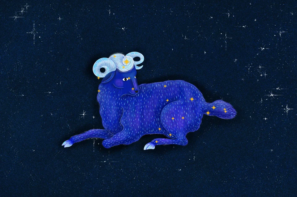 Los Animales del Cielo, artwork 16